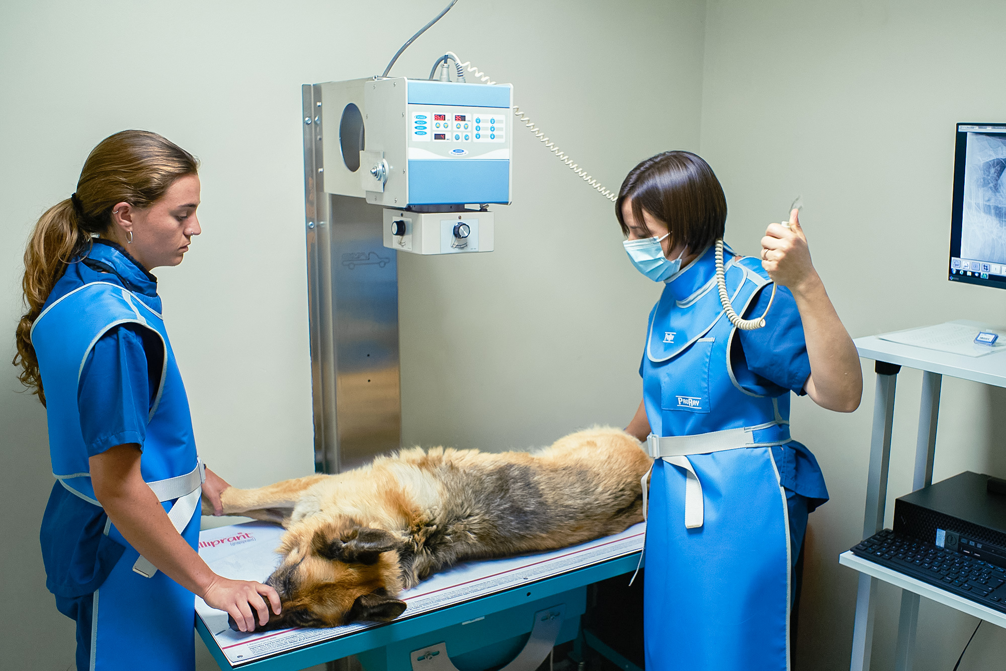 Radiografia de gos a Clínica Veterinaria La Plana de Tona
