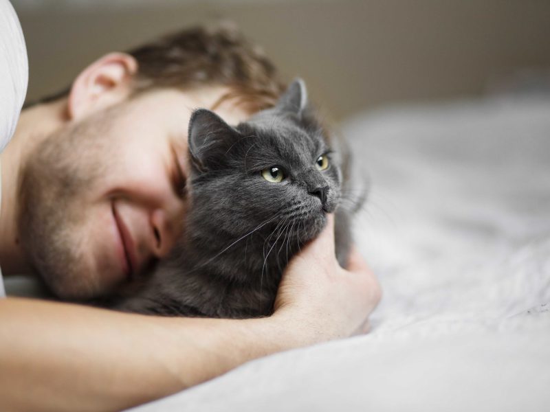 planes-de-salud-veterinarios-gatos